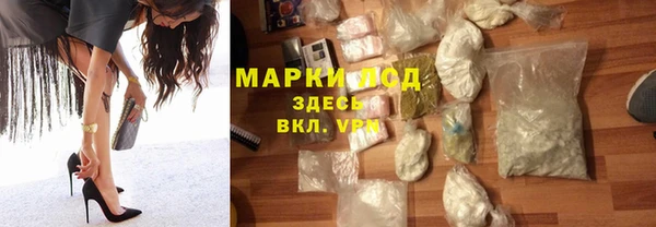 СК Вязьма