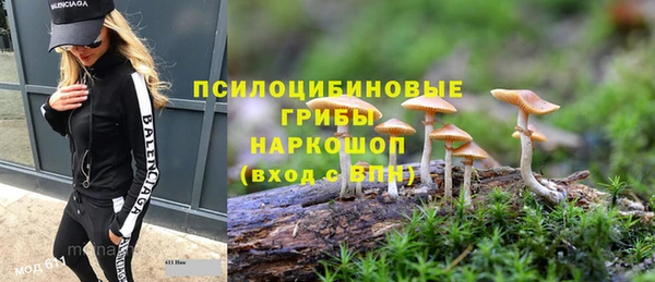 мескалин Горнозаводск