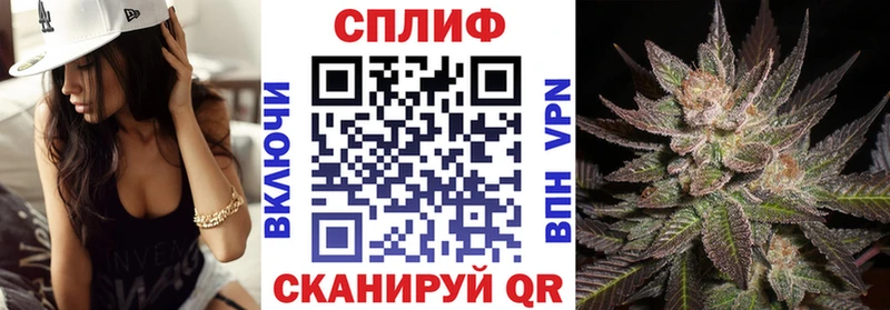 KRAKEN как зайти Западная Двина Марихуана тримм